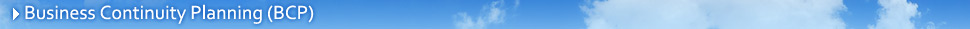 Business Continuity Planning (BCP)