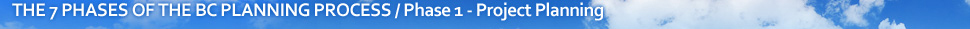 The 7 Phases of the BCP Process / Phase 1 - Project Planning 